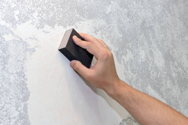 Best Forensic Mold Investigation  in Totowa, NJ