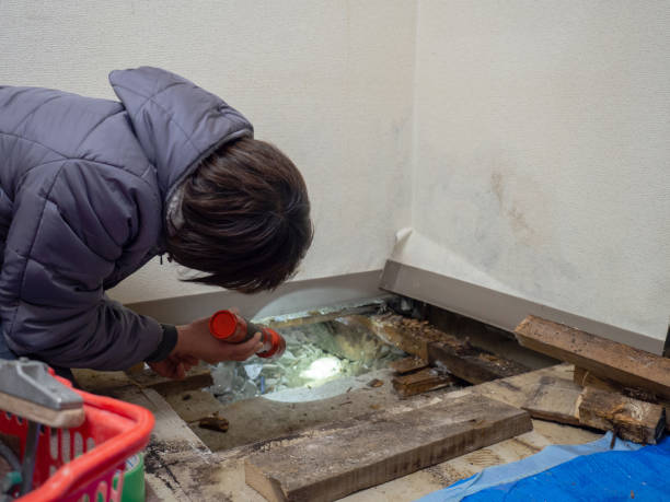 Best Asbestos and Lead Testing During Mold Inspection  in Totowa, NJ