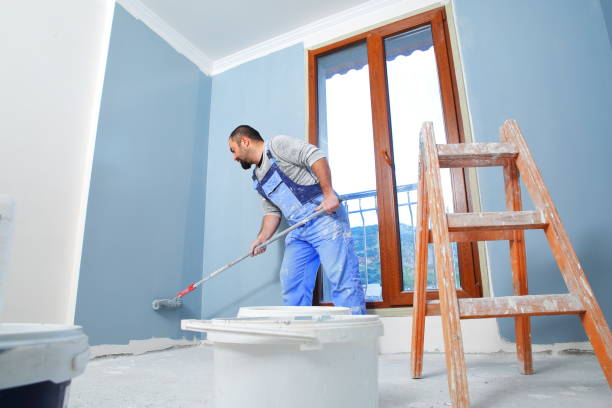 Best Attic Mold Removal  in Totowa, NJ
