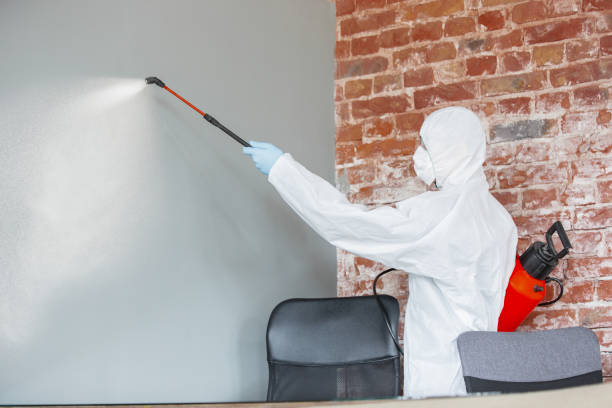 Best Mold-Related Health Consultation  in Totowa, NJ