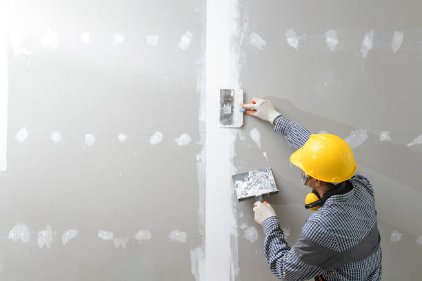 Best Comprehensive Air Testing for Mold Contaminants  in Totowa, NJ