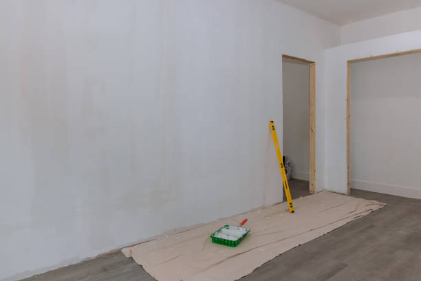 Professional Mold Removal in Totowa, NJ