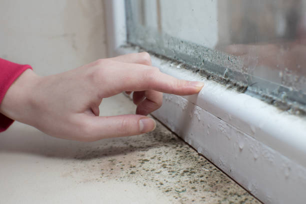 Best Residential Mold Inspection & Testing  in Totowa, NJ