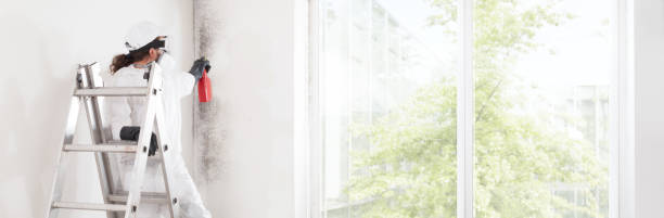 Best HVAC Mold Inspection and Cleaning  in Totowa, NJ