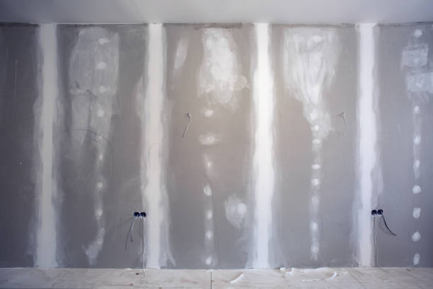 Best Post-Construction Mold Inspection  in Totowa, NJ